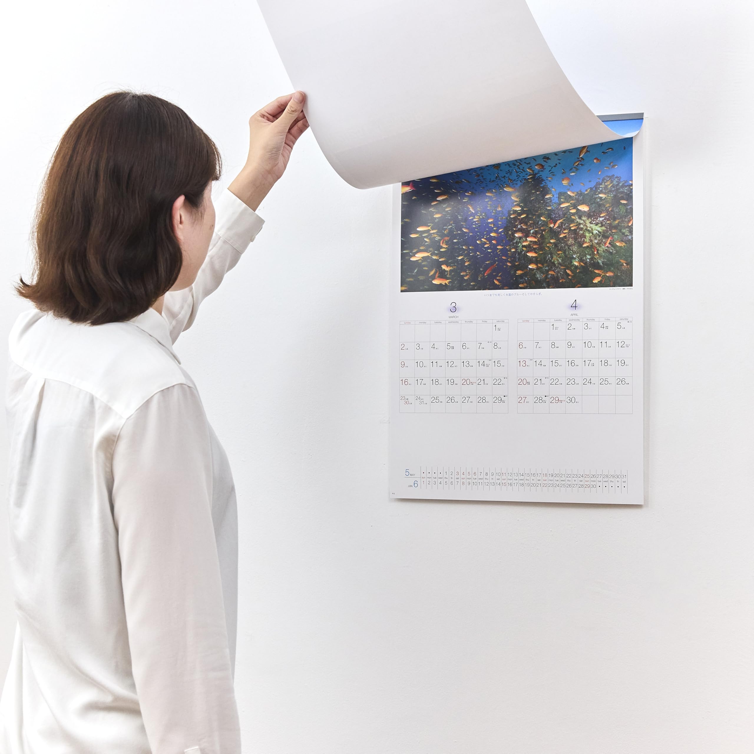 2025年 壁掛けカレンダー アートデザイン　国立印刷局 2025年 壁掛けカレンダー アートデザイン国立印刷局